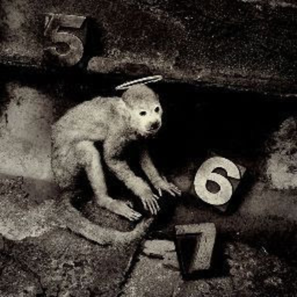 Meet your Posher, Natalia